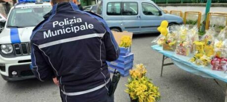 Giugliano, vendono mimose abusive e insultano vigili: denunciate 2 casalinghe